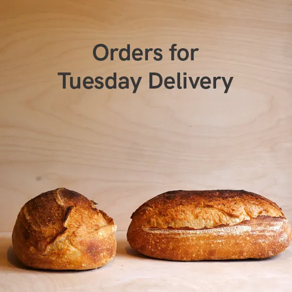 Tuesday Delivery